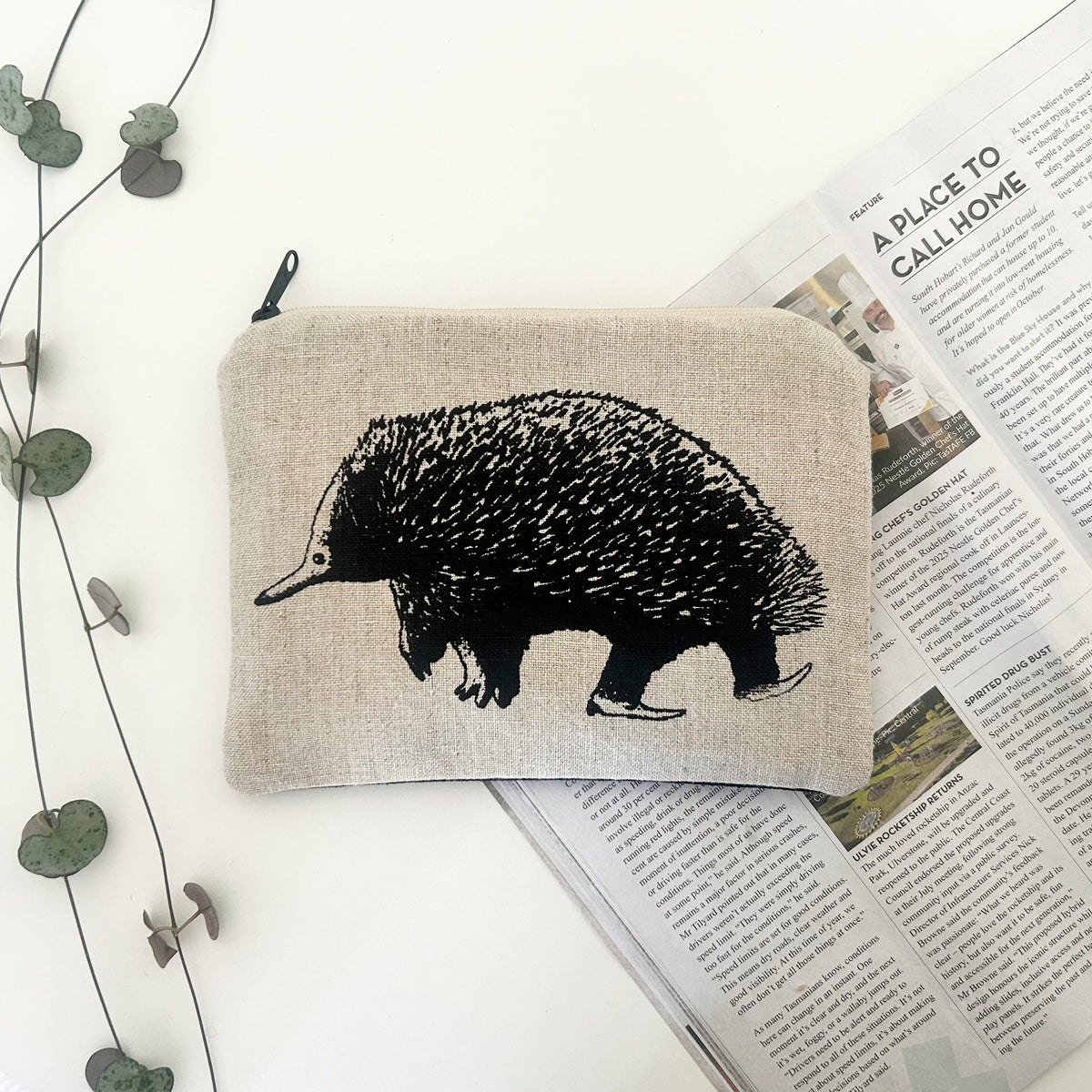 Echidna large purse